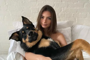The Fur-Baby Boom: Why Millennials Are Trading Prams For Pooches